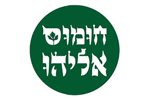 hummus.jpg